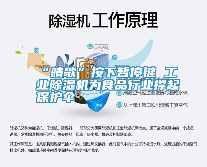 “晴歌”按下暫停鍵 工業杏仁视频APP成人官方污為食品行業撐起保護傘