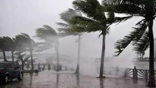 8月台風雨即將來，杏仁视频APP成人官方污還得用起來