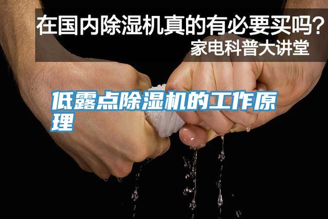 低露點杏仁视频APP成人官方污的工作原理