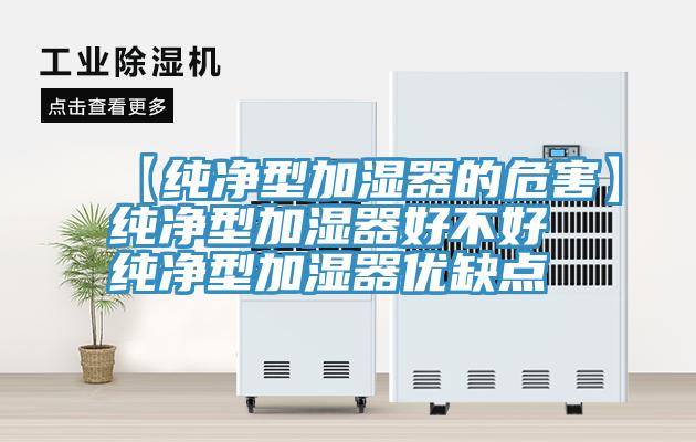 【純淨型加濕器的危害】純淨型加濕器好不好 純淨型加濕器優缺點