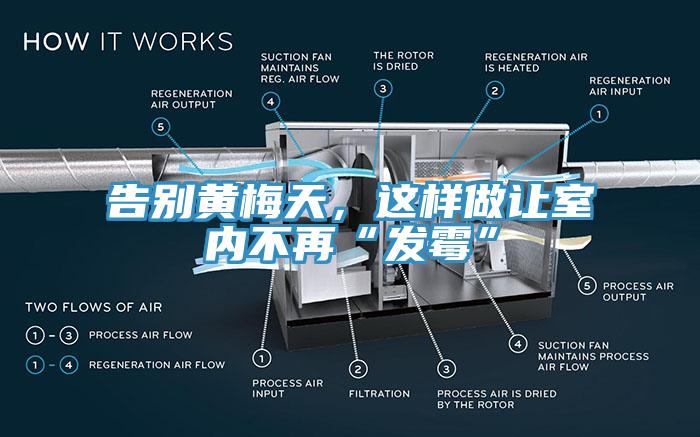 告別黃梅天，這樣做讓室內不再“發黴”