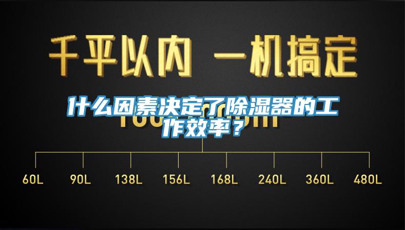 什麽因素決定了除濕器的工作效率？