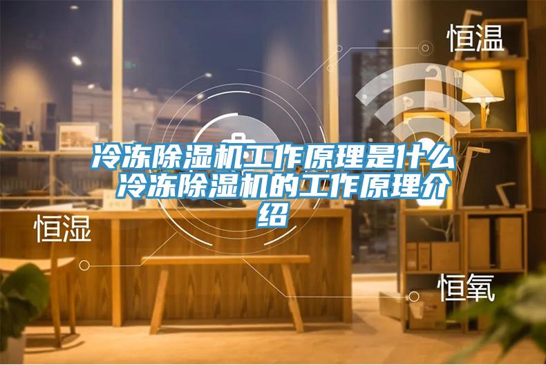 冷凍杏仁视频APP成人官方污工作原理是什麽 冷凍杏仁视频APP成人官方污的工作原理介紹