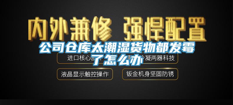 公司倉庫太潮濕貨物都發黴了怎麽辦