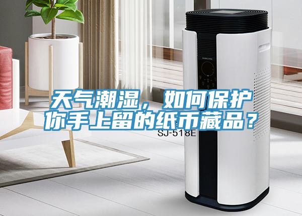 天氣潮濕，如何保護你手上留的紙幣藏品？