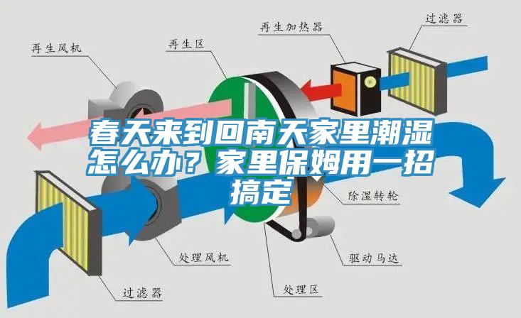 春天來到回南天家裏潮濕怎麽辦？家裏保姆用一招搞定