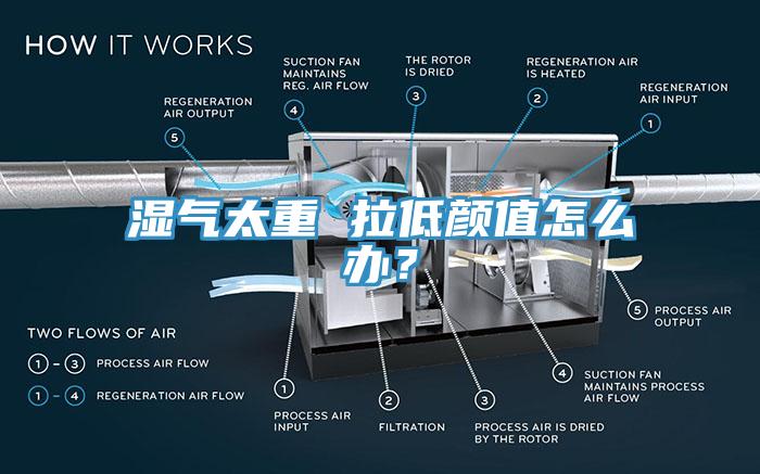 濕氣太重 拉低顏值怎麽辦？