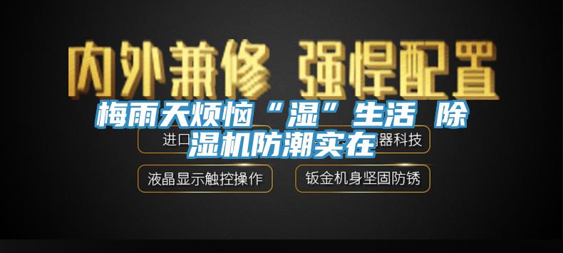 梅雨天煩惱“濕”生活 杏仁视频APP成人官方污防潮實在