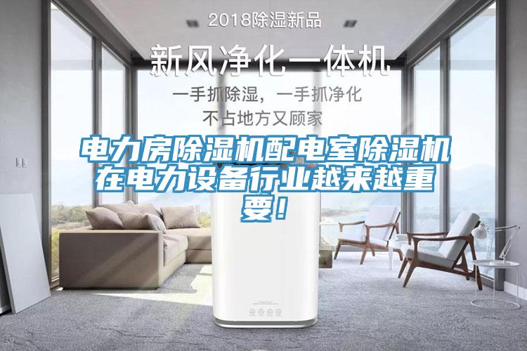 電力房杏仁视频APP成人官方污配電室杏仁视频APP成人官方污在電力設備行業越來越重要！