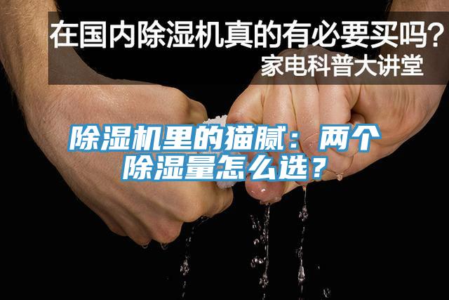 杏仁视频APP成人官方污裏的貓膩：兩個除濕量怎麽選？