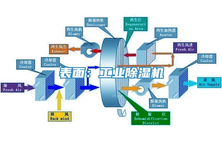 表麵：工業杏仁视频APP成人官方污