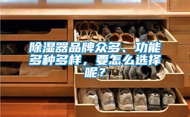 除濕器品牌眾多、功能多種多樣，要怎麽選擇呢？