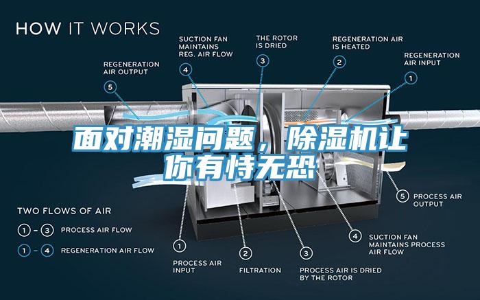 麵對潮濕問題，杏仁视频APP成人官方污讓你有恃無恐