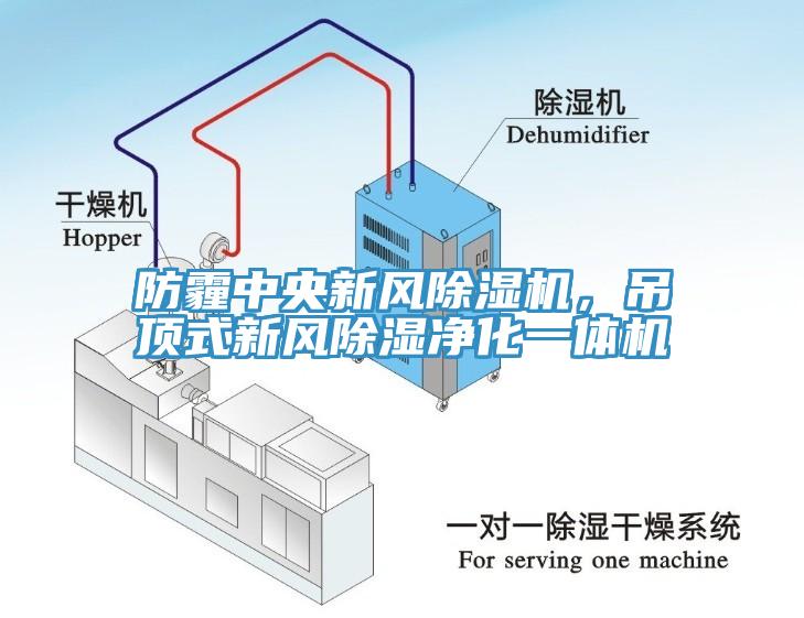 防霾中央新風杏仁视频APP成人官方污，吊頂式新風除濕淨化一體機