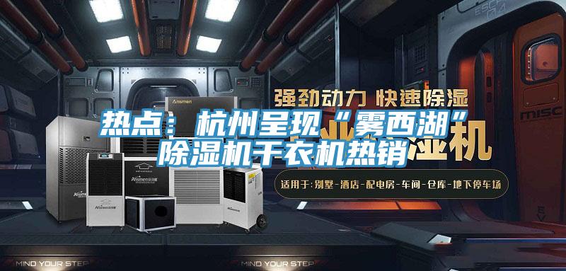 熱點：杭州呈現“霧西湖”杏仁视频APP成人官方污幹衣機熱銷