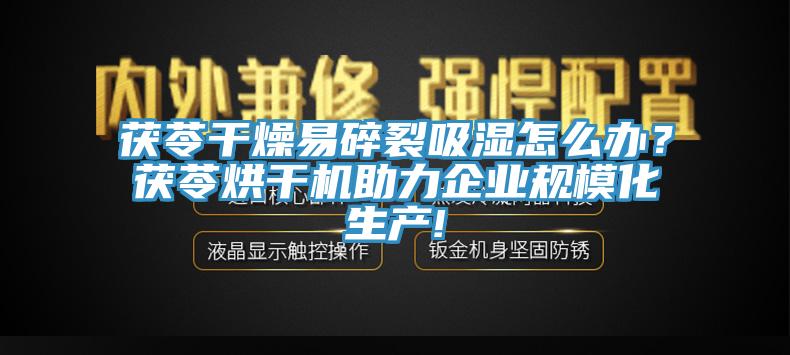 茯苓幹燥易碎裂吸濕怎麽辦？茯苓烘幹機助力企業規模化生產!