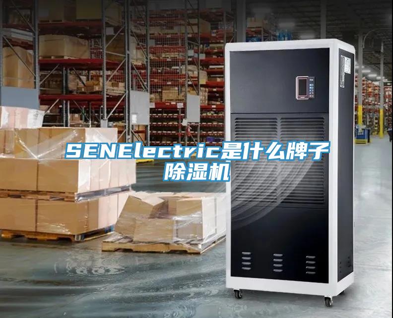 SENElectric是什麽牌子杏仁视频APP成人官方污