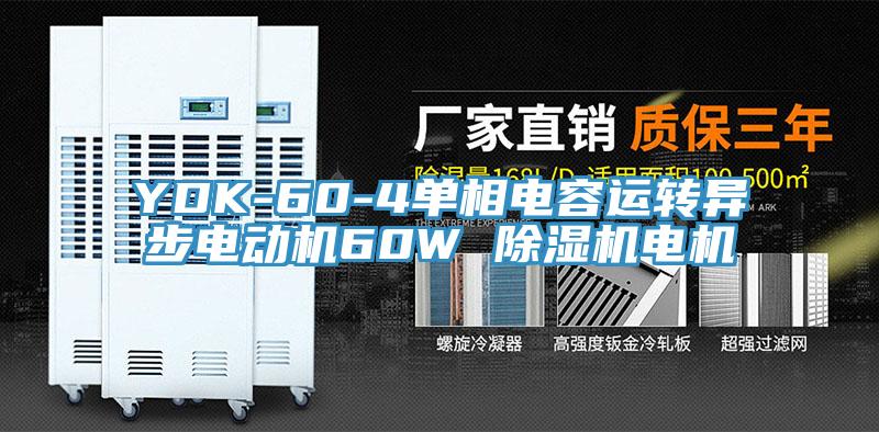 YDK-60-4單相電容運轉異步電動機60W 杏仁视频APP成人官方污電機