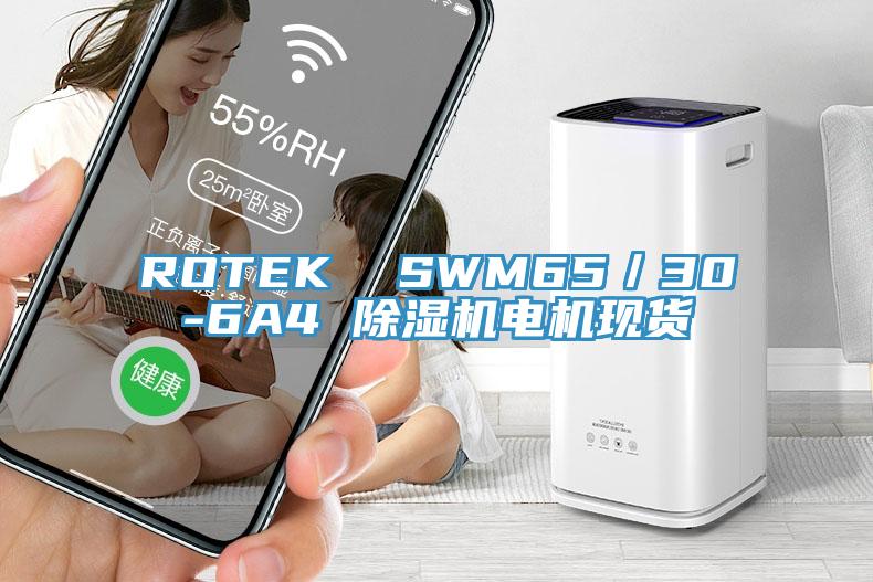 ROTEK  SWM65／30-6A4 杏仁视频APP成人官方污電機現貨