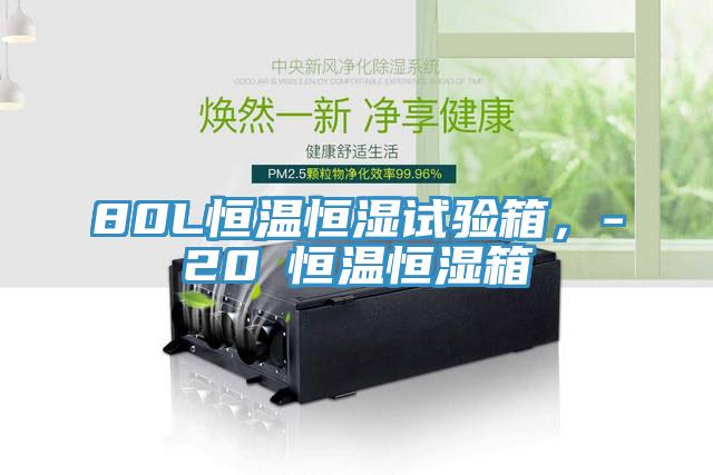 80L恒溫恒濕試驗箱，-20℃恒溫恒濕箱