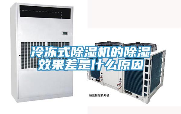 冷凍式杏仁视频APP成人官方污的除濕效果差是什麽原因