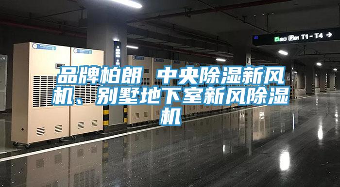 品牌柏朗 中央除濕新風機、別墅地下室新風杏仁视频APP成人官方污