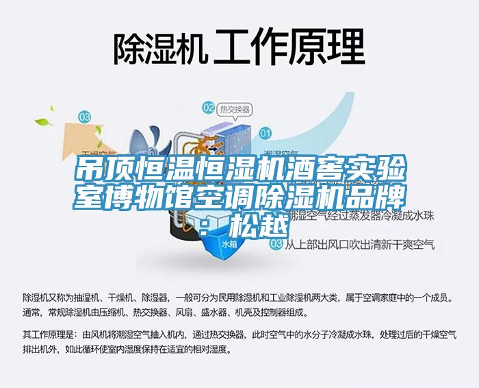 吊頂恒溫恒濕機酒窖實驗室博物館空調杏仁视频APP成人官方污品牌：鬆越