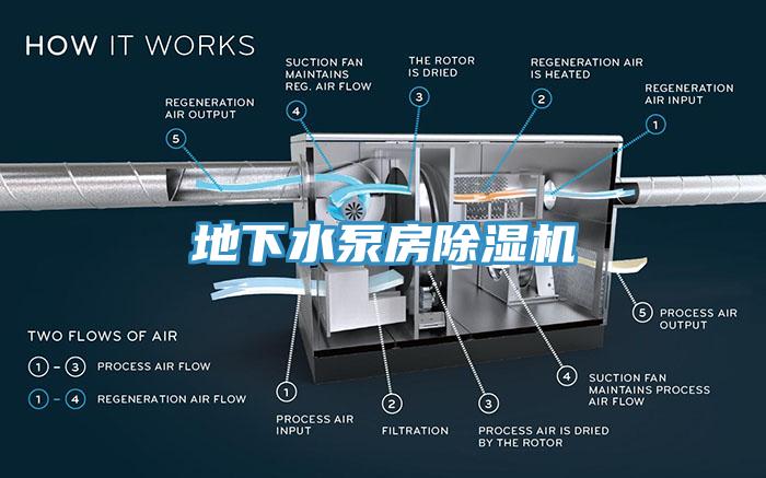 地下水泵房杏仁视频APP成人官方污