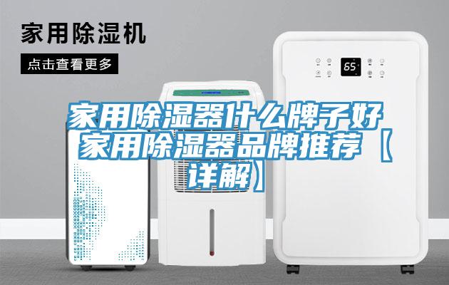 家用除濕器什麽牌子好 家用除濕器品牌推薦【詳解】