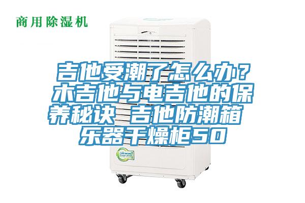 吉他受潮了怎麽辦？木吉他與電吉他的保養秘訣 吉他防潮箱 樂器幹燥櫃50