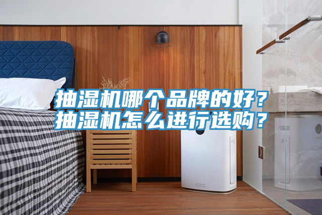 抽濕機哪個品牌的好？抽濕機怎麽進行選購？