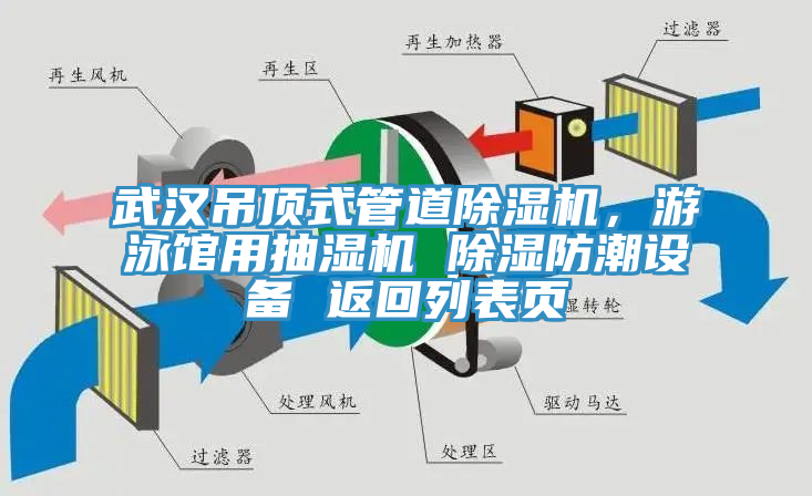 武漢吊頂式管道杏仁视频APP成人官方污，遊泳館用抽濕機 除濕防潮設備 返回列表頁