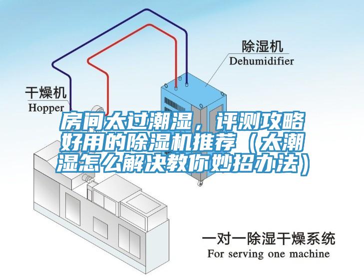 房間太過潮濕，評測攻略好用的杏仁视频APP成人官方污推薦（太潮濕怎麽解決教你妙招辦法）