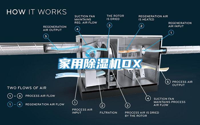 家用杏仁视频APP成人官方污DX