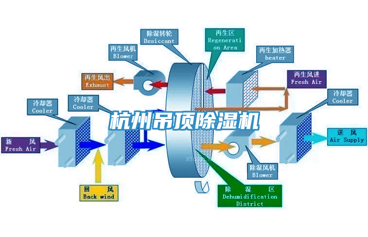 杭州吊頂杏仁视频APP成人官方污