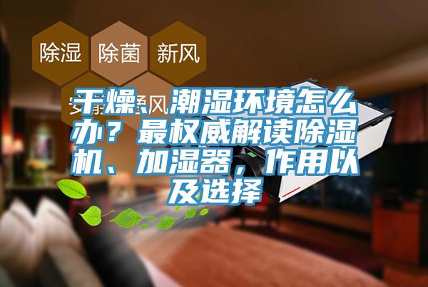 幹燥、潮濕環境怎麽辦？最權威解讀杏仁视频APP成人官方污、加濕器，作用以及選擇