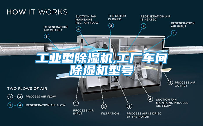 工業型杏仁视频APP成人官方污,工廠車間杏仁视频APP成人官方污型號