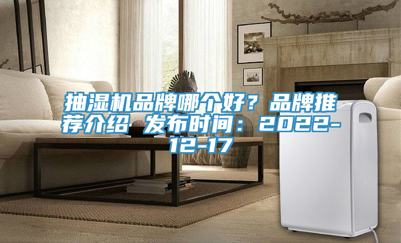 抽濕機品牌哪個好？品牌推薦介紹 發布時間：2022-12-17