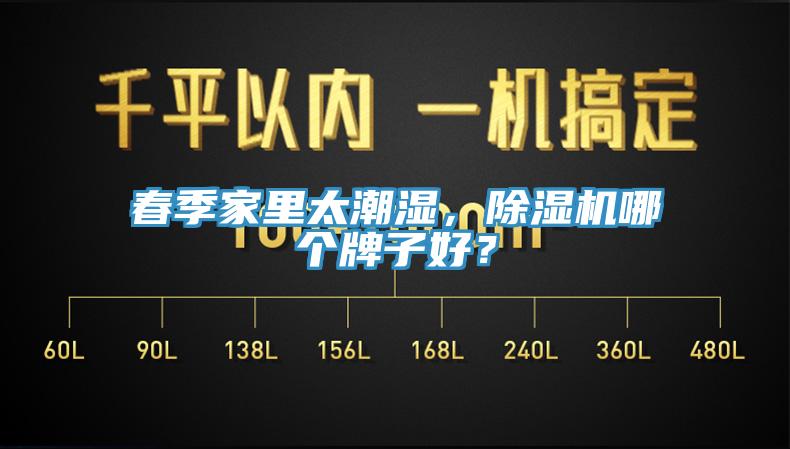 春季家裏太潮濕，杏仁视频APP成人官方污哪個牌子好？