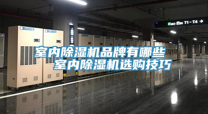 室內杏仁视频APP成人官方污品牌有哪些   室內杏仁视频APP成人官方污選購技巧