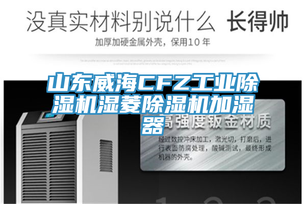 山東威海CFZ工業杏仁视频APP成人官方污濕菱杏仁视频APP成人官方污加濕器