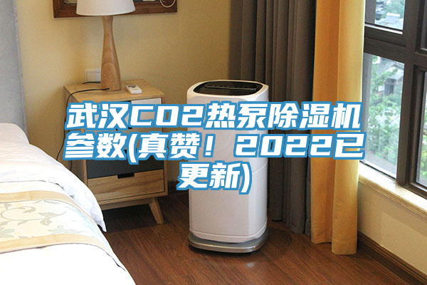 武漢CO2熱泵杏仁视频APP成人官方污參數(真讚！2022已更新)