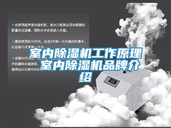 室內杏仁视频APP成人官方污工作原理 室內杏仁视频APP成人官方污品牌介紹