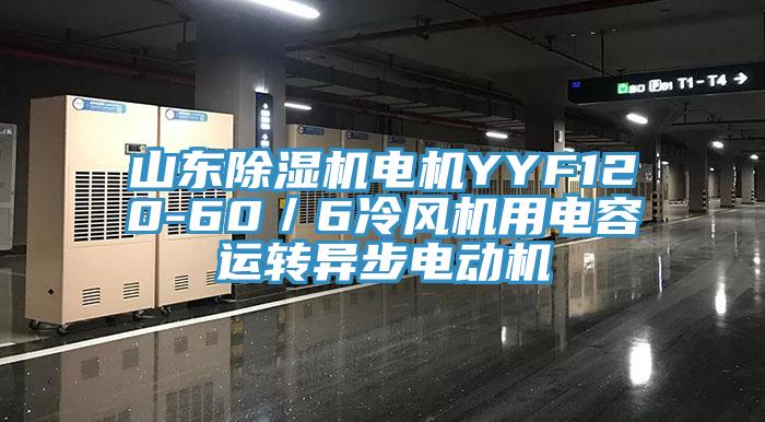 山東杏仁视频APP成人官方污電機YYF120-60／6冷風機用電容運轉異步電動機