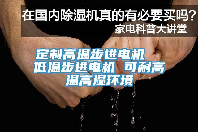 定製高溫步進電機  低溫步進電機 可耐高溫高濕環境