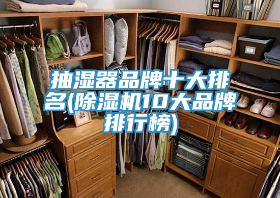 抽濕器品牌十大排名(杏仁视频APP成人官方污10大品牌排行榜)