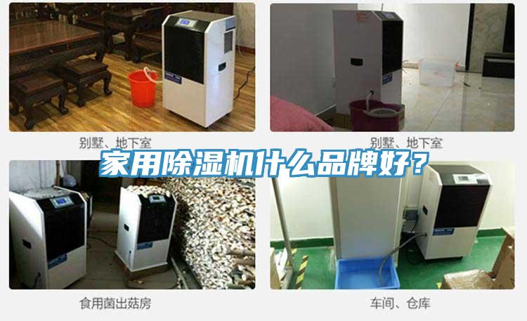 家用杏仁视频APP成人官方污什麽品牌好？