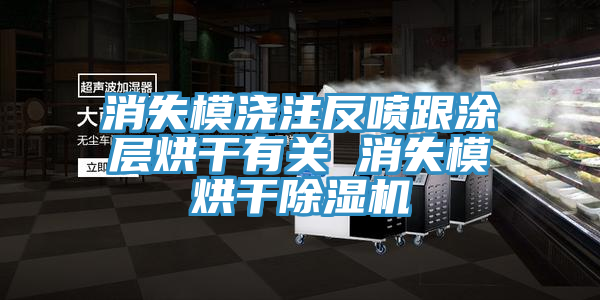 消失模澆注反噴跟塗層烘幹有關 消失模烘幹杏仁视频APP成人官方污