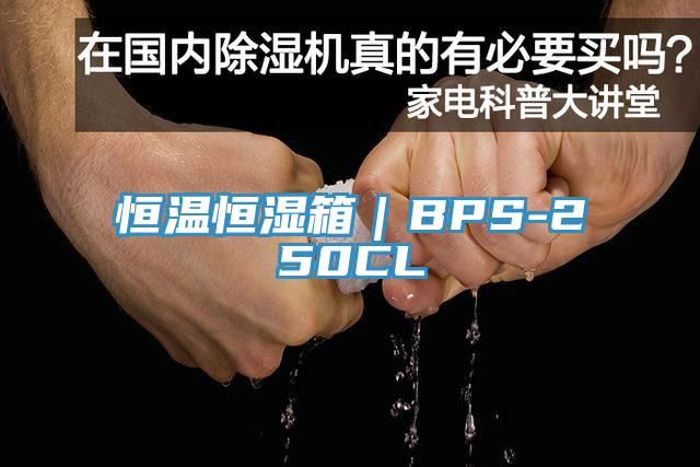 恒溫恒濕箱｜BPS-250CL