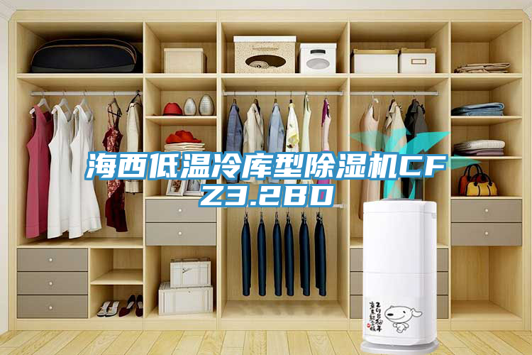 海西低溫冷庫型杏仁视频APP成人官方污CFZ3.2BD